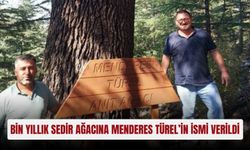 Bin yıllık sedir ağacına Menderes Türel’in ismi verildi