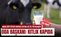 Açık süt fiyatı Antalya’da 35 TL’ye ulaştı... Oda Başkanı:  Kıtlık kapıda