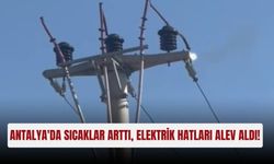 Antalya'da sıcaklar arttı, elektrik hatları alev aldı!