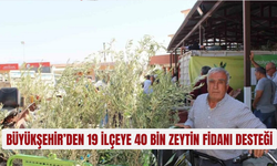 Büyükşehir’den 19 ilçeye 40 bin zeytin fidanı desteği
