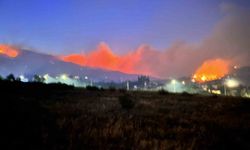 Hatay yangınında son durum! Yetkililerden açıklama geldi!