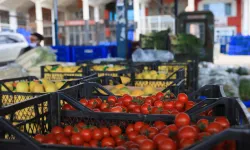 Antalya'da ihracatın lideri tarım sektörü