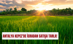 Antalya Kepez'de 17 dönümlük tarla icradan satışa çıkıyor!