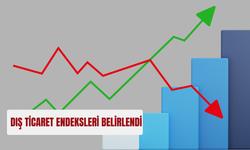Dış ticaret endeksleri belirlendi (TÜİK açıkladı)