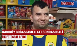 Kadıköy Boğası'nın ameliyat sonrası ilk fotoğrafı ortaya çıktı!