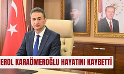 Eski Bitlis Valisi Erol Karaömeroğlu hayatını kaybetti! Erol Karaömeroğlu kimdir?
