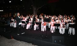 Kemer’de müzik sokak hayvanları için yükseldi