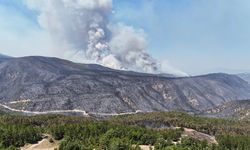 Rüzgar, Karabük’teki orman yangınlarını yeniden alevlendirdi