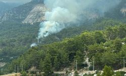 Kumluca'da orman yangını büyümeden söndürüldü