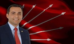 Manavgat operasyonunda yeni detaylar ortaya çıktı