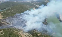 Tokat’ta orman yangını