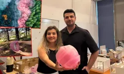 Orman yangınlarına 'pembe kalkan'