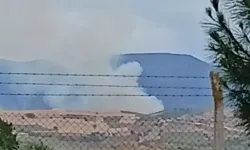 Bursa'da orman yangını