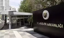 Türkiye'nin yeni 'Deniz Koruma Alanları' haritaya eklendi