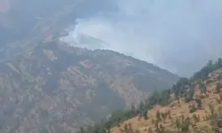 Şırnak'ta orman yangını