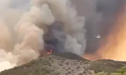 California'daki orman yangını devam ediyor