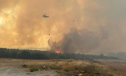 Çanakkale'de orman yangını