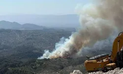 Aydın'da orman yangını kontrol altında