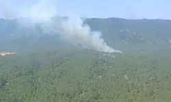 Mersin'de orman yangını