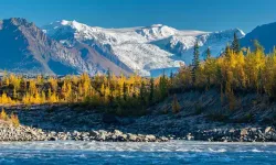 Alaska'da tahliye çağrısı
