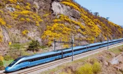 Güney Kore'de tren raydan çıktı!