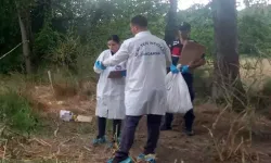 Tarlada insan kafatası bulundu!