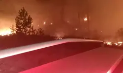 Muğla’da orman yangını