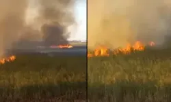 Karamık Gölü'nde yangın