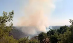 Adana’da orman yangını