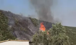Bursa'da orman yangını soruşturmasında 1 gözaltı