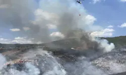 Kocaeli'de ot yangını kontrol altında
