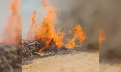Malatya'da orman yangını