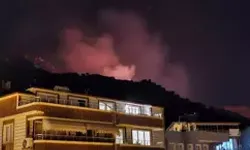 Marmara Adası'nda orman yangın