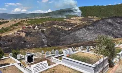 Kocaeli'de ot yangını