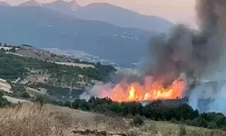 Susurluk'taki orman yangını 12 saat sonra kontrol altına alındı
