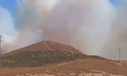 İzmir'de orman yangını çıktı