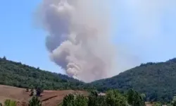 Bursa’da orman yangını