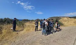 Çanakkale'de 19 kaçak göçmen yakalandı