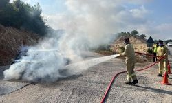 Alev alan otomobili orman ekipleri söndürdü