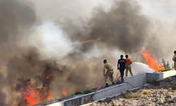 Hatay'da orman yangını
