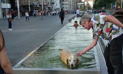 Sıcak havadan bunalan çocuk ve köpek süs havuzunda serinledi