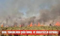 OGM: Yangınların çoğu ihmal ve dikkatsizlik kaynaklı