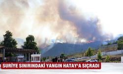 Suriye sınırındaki yangın Hatay'a sıçradı
