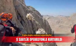 9 gün dağda mahsur kalan keçiler 5 saatlik operasyonla kurtarıldı