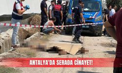 Antalya'da serada kan döküldü!