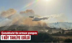 Çanakkale’de orman yangını: 1 köy tahliye edildi