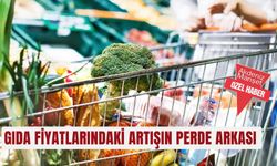Gıda fiyatlarındaki artışın perde arkası