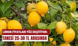 Limon fiyatları yüz ekşitiyor: Tanesi 25-30 TL arasında