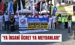 ‘Ya insani ücret ya meydanlar!’