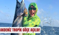 Akdeniz tropik göçe açıldı!